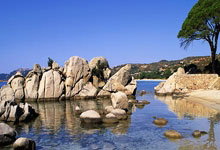 克里斯蒂亚诺火力全开，葡萄牙国脚豪取胜利